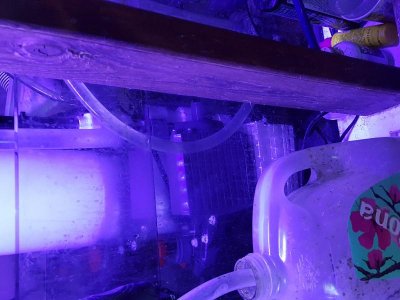 20170126_123322.jpg