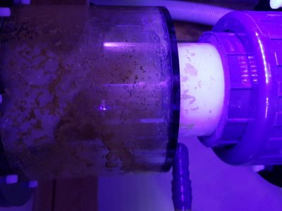 20170126_125215.jpg