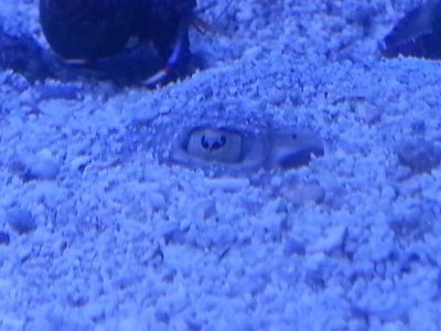 20170126_195446.jpg
