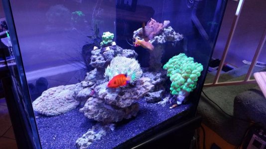 20170121_125726.jpg