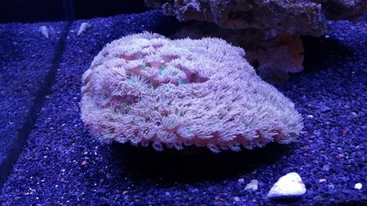 20170121_130358.jpg