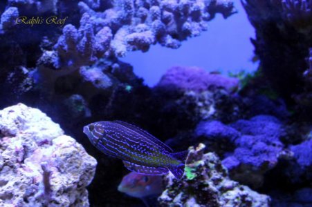 IMG_4187.jpg