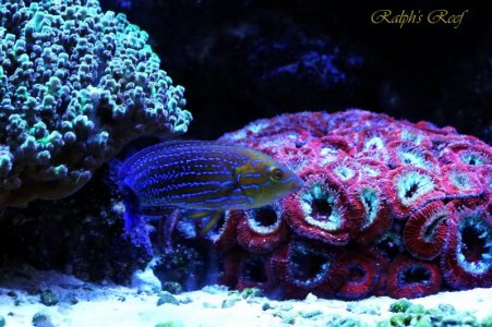 IMG_4029.jpg