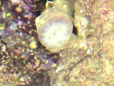 IMG_2344.jpg