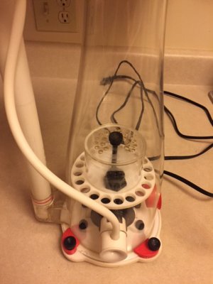 Skimmer2.jpg