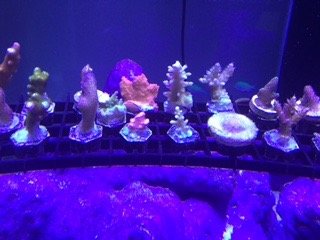 IMG_1880.JPG