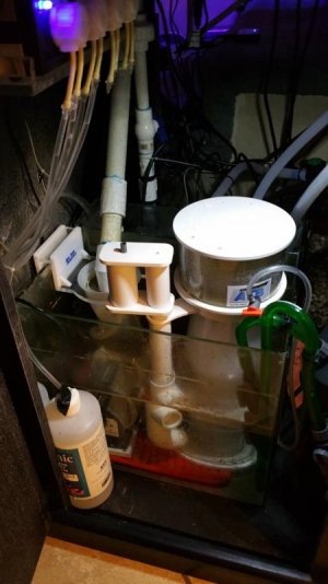nano one in sump.jpg nano one in sump.jpg