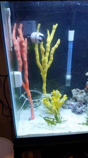 20170127_182218.jpg