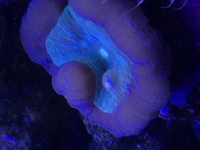 IMG_0673.jpg