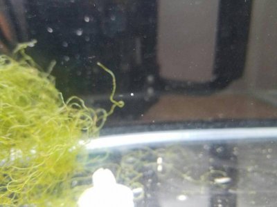 JPEG_20161223_211153_.jpg