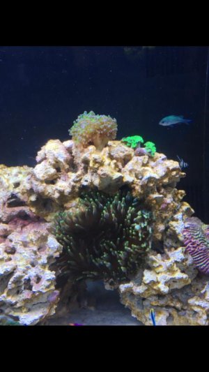 IMG_8755.jpg