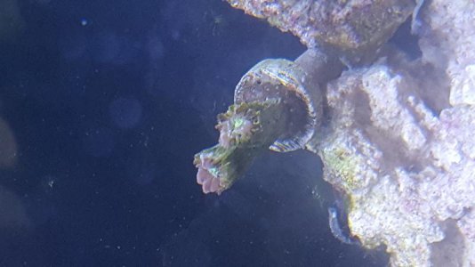 20170129_164651.jpg
