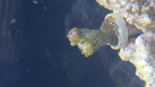 20170125_130621.jpg