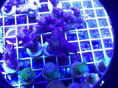 IMG_2716.jpg