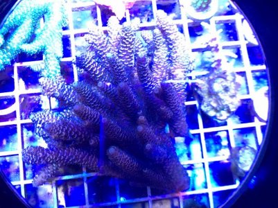 IMG_2727.jpg