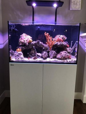 Tank 1.jpg