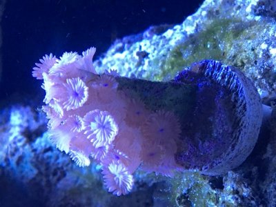 IMG_1367.jpg