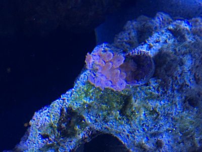 IMG_1366.jpg