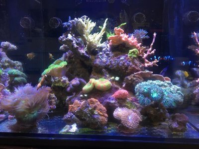 IMG_0085.jpg