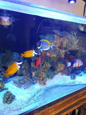 20170130_151643.jpg