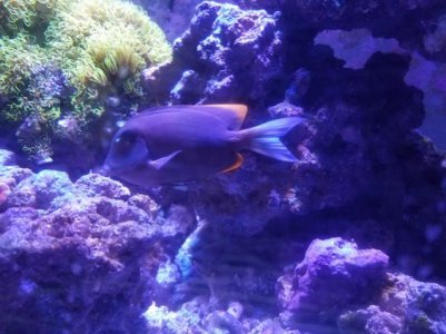 20170130_184703.jpg