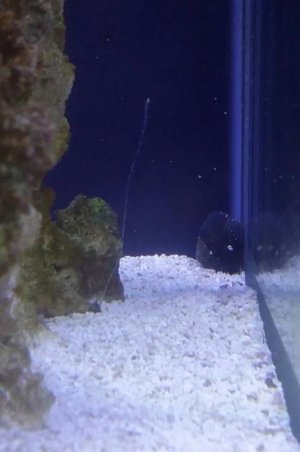 2016-12-27 08.21.58.jpg