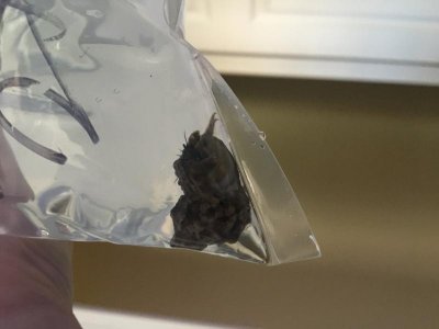 IMG_2560.jpg IMG_2560.jpg