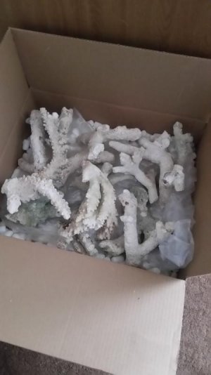 20170131_125836.jpg