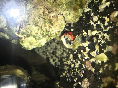 IMG_2571.jpg