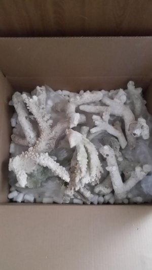 20170131_125847.jpg