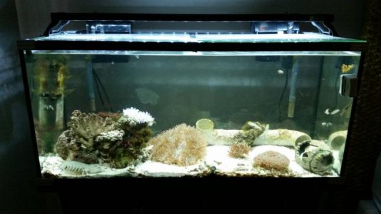 20161228_100958.jpg