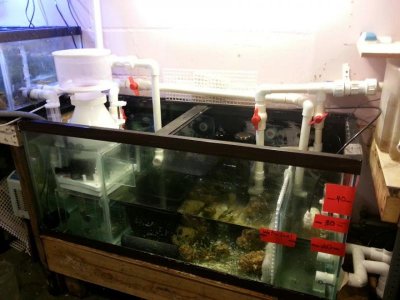 15 - 1 (1).jpg 15 - 1 (1).jpg