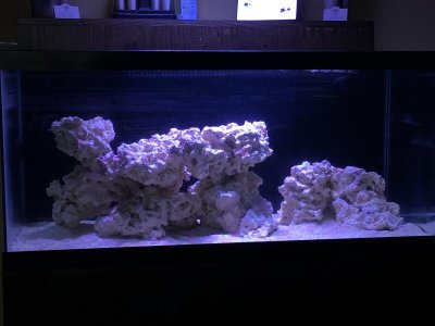 tank 5.jpg