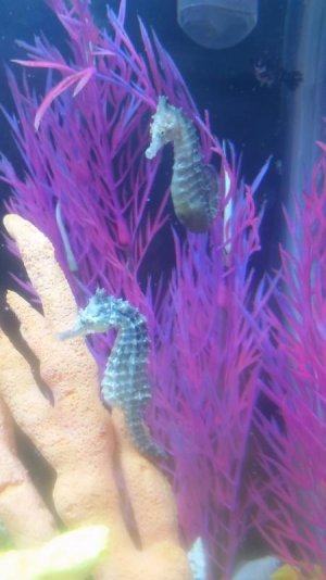 20170202_125653.jpg