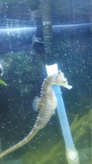 20170202_125618.jpg