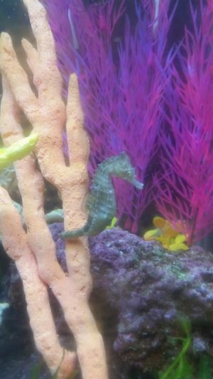 20170202_125511.jpg