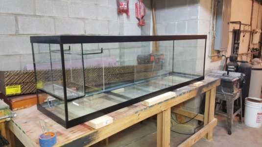 tmp_sump3.jpg