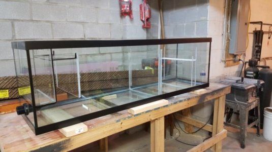 tmp_sump4.jpg