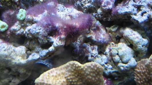 IMG_0003.JPG