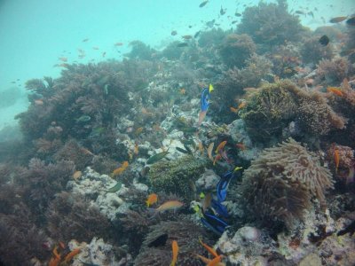 GOPR0773a.jpg