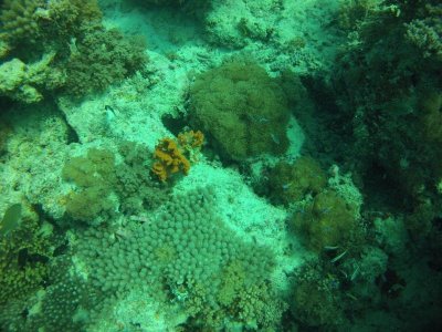 GOPR0827a.jpg