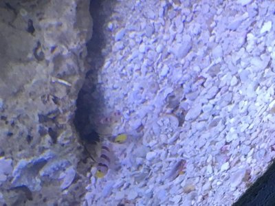 IMG_1168.jpg