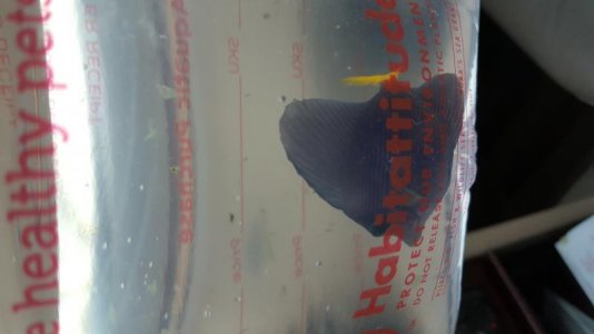 20161231_163715.jpg