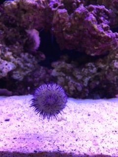 IMG_0341.JPG