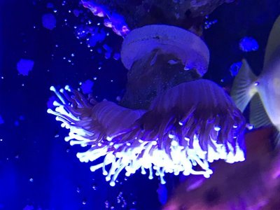 IMG_0112.jpg