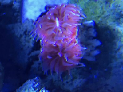 IMG_0163.jpg