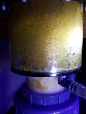 20170205_081315.jpg