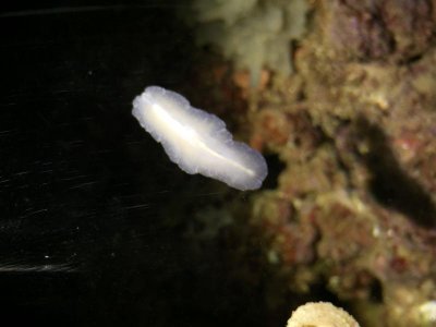 IMG_2685.jpg
