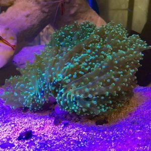 IMG_3344.jpg