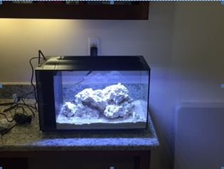 FTS1.JPG